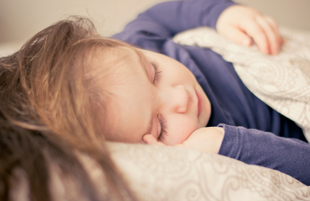 院校凈化器租賃 院校凈化器租賃