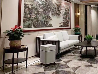 上海某別墅區租賃空氣凈化器 除甲醛異味